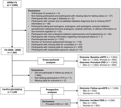 Associations of endogenous androgens and sex hormone-binding globulin with kidney function and chronic kidney disease